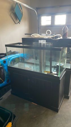 90g aquarium