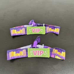 Coachella VIP weekend 2