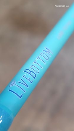Live bottom Tail Tamer fishing Rod