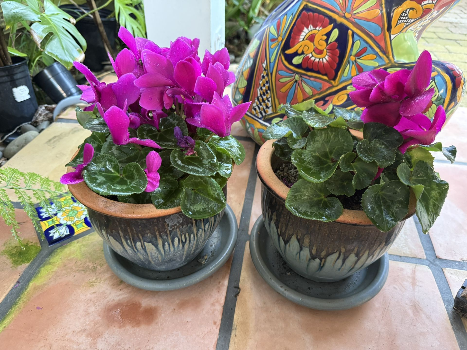 Glazed Pots With Flowers