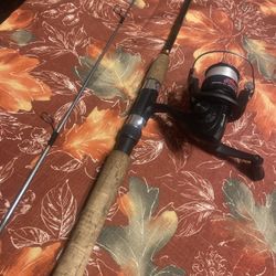 Daiwa Fishing Pole Light/medium Action