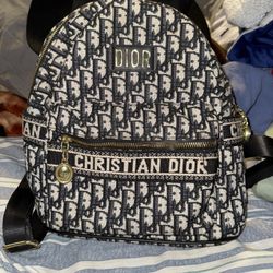 Dior Mini Backpack 