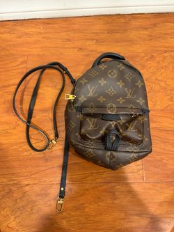 Louis Vuitton Monogram Palm Springs Mini Backpack