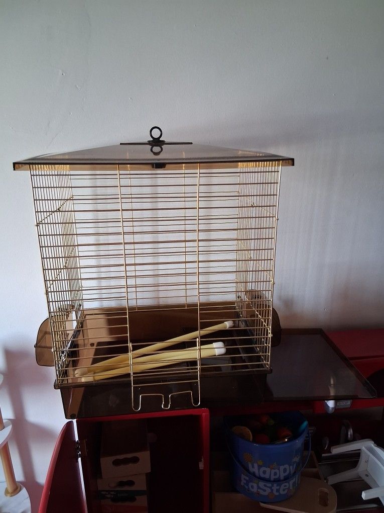 Bird Cage