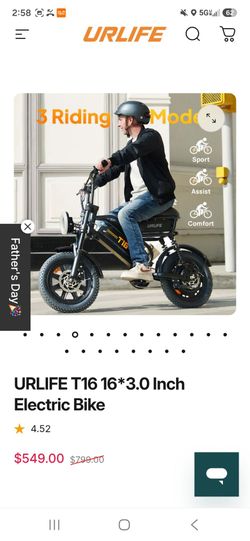 Electric bike