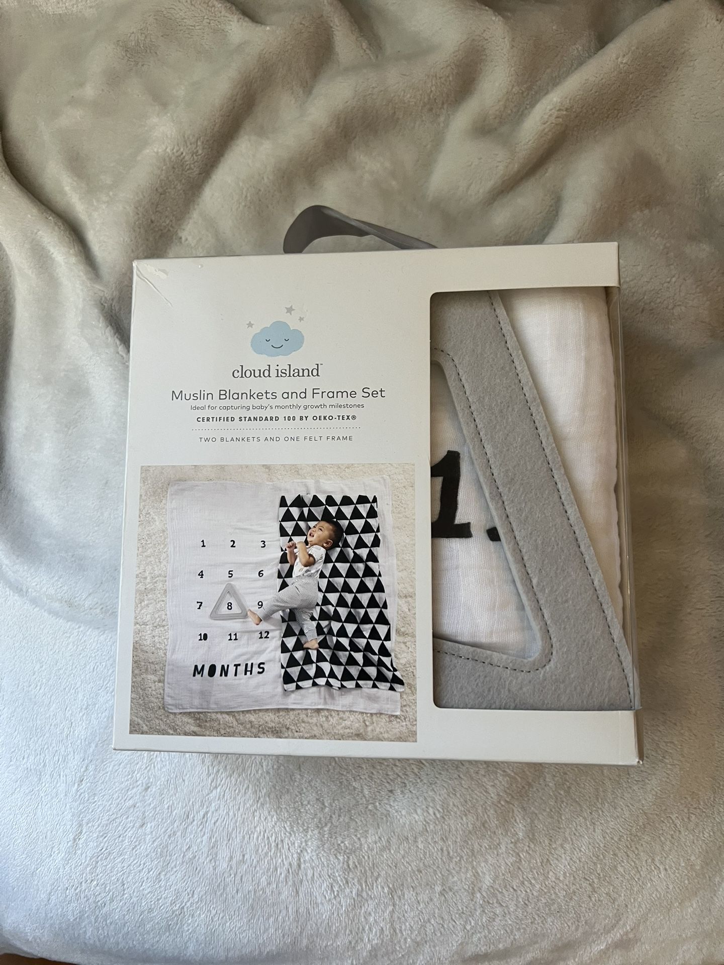 baby month milestone blanket & frame set