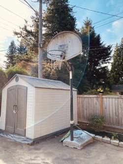 Basketball hoop - free