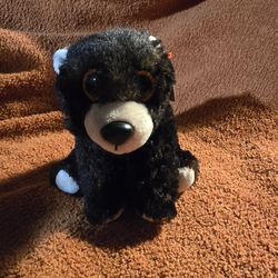 TY Toy