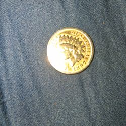 Indian head penny