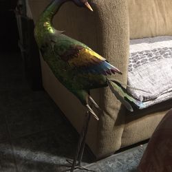 Peacock Metal Decoration For In Door Or Out Door 