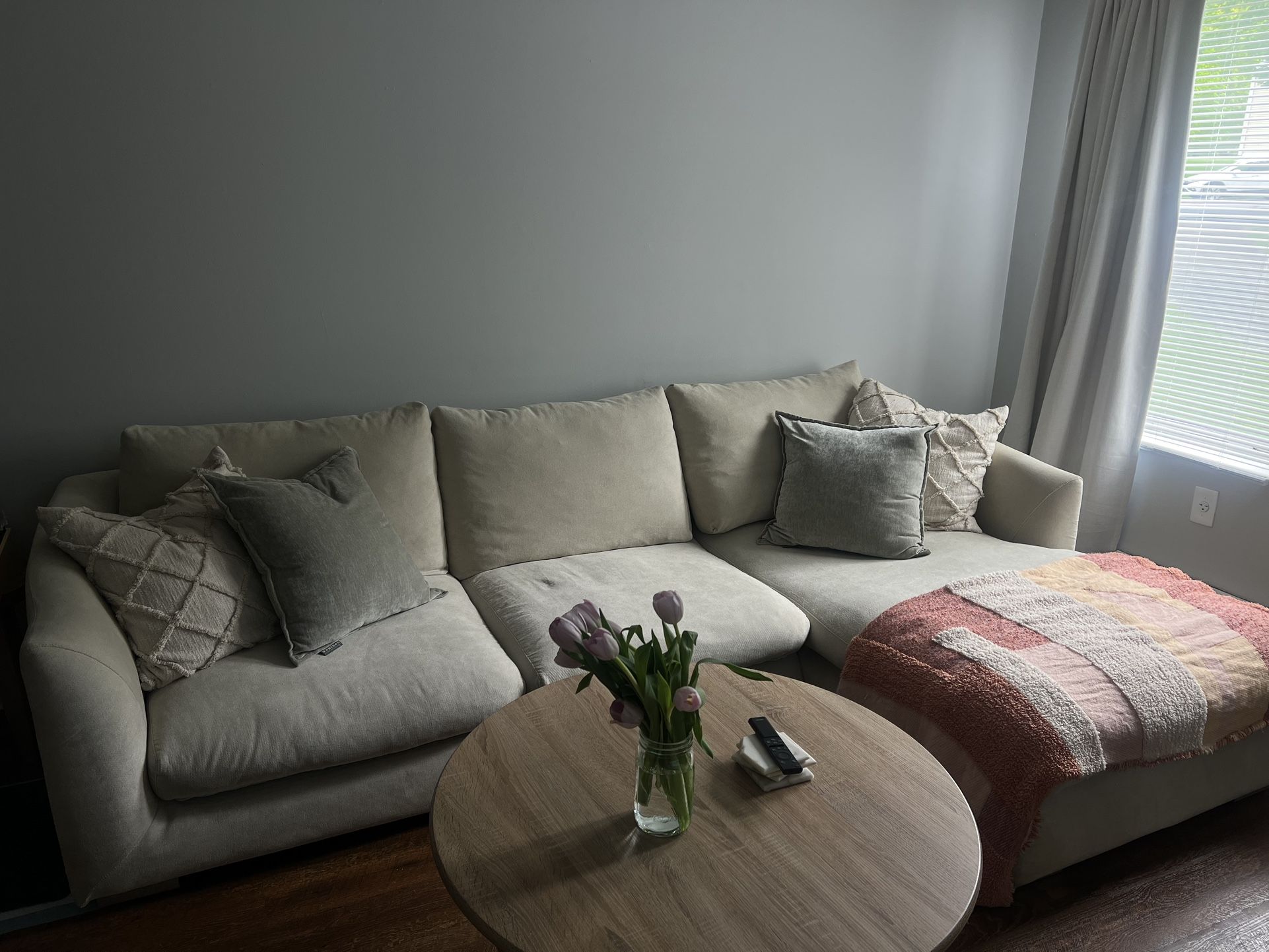 Sectional Couch