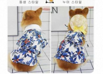 Dog clothesw shirt and skirt set with 2 hats hawaiian vacation beach vibes