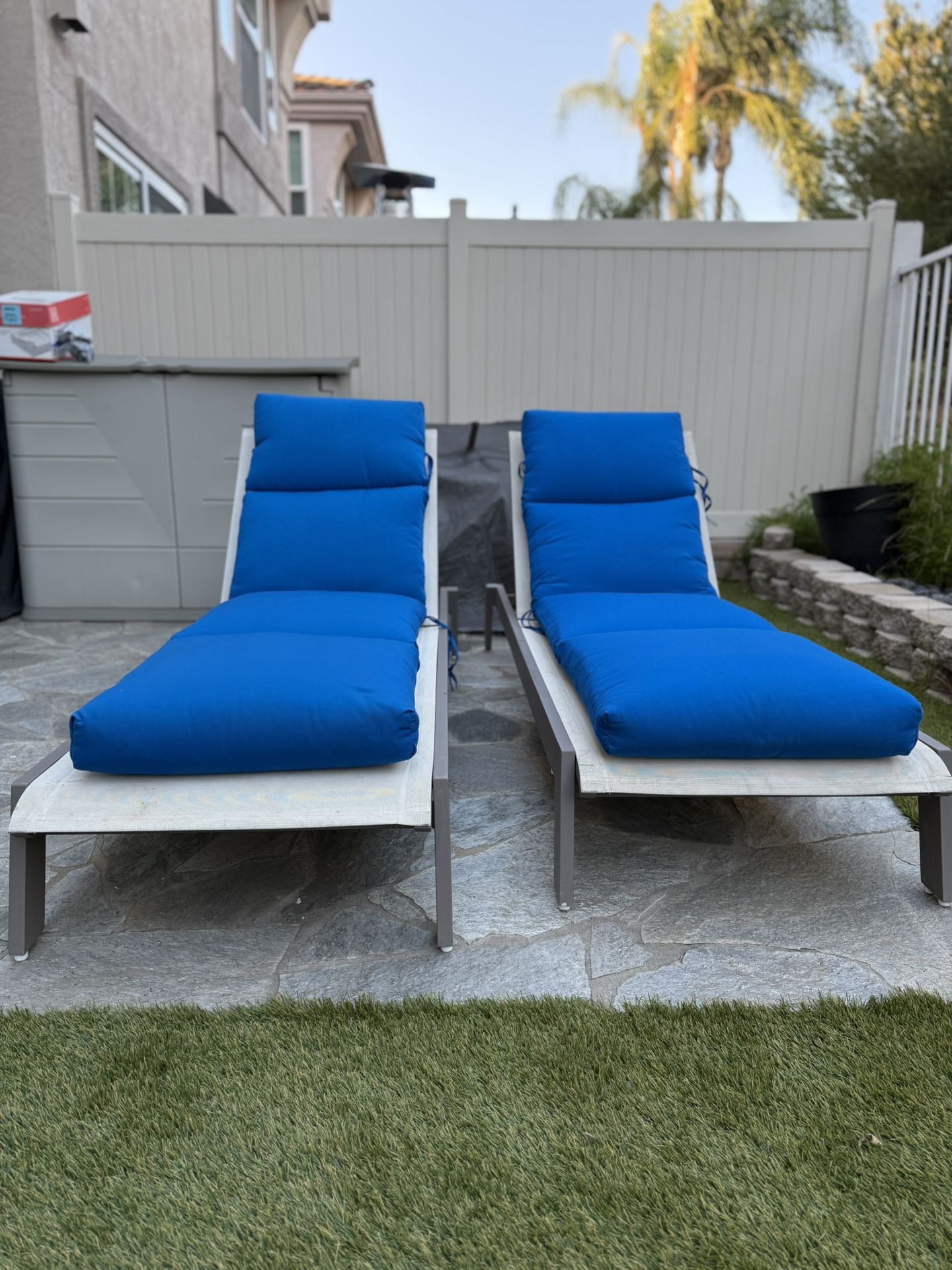 Outdoor Pool Lounge Chairs 2. Needs Cleaning