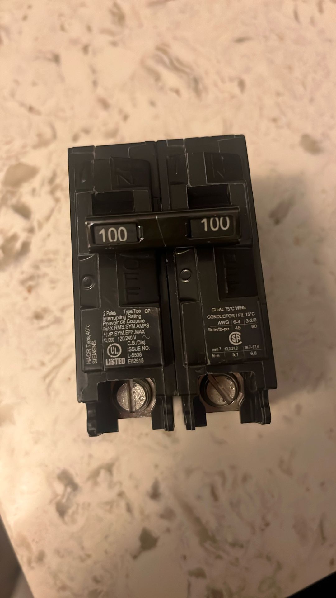 Double Pole 100 Amp Siemens Breaker 