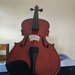 Violin