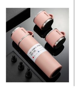 Stainless Steel Vacuum Flask Set with 2 Cups, Insulated Double Wall Tea Coffee T