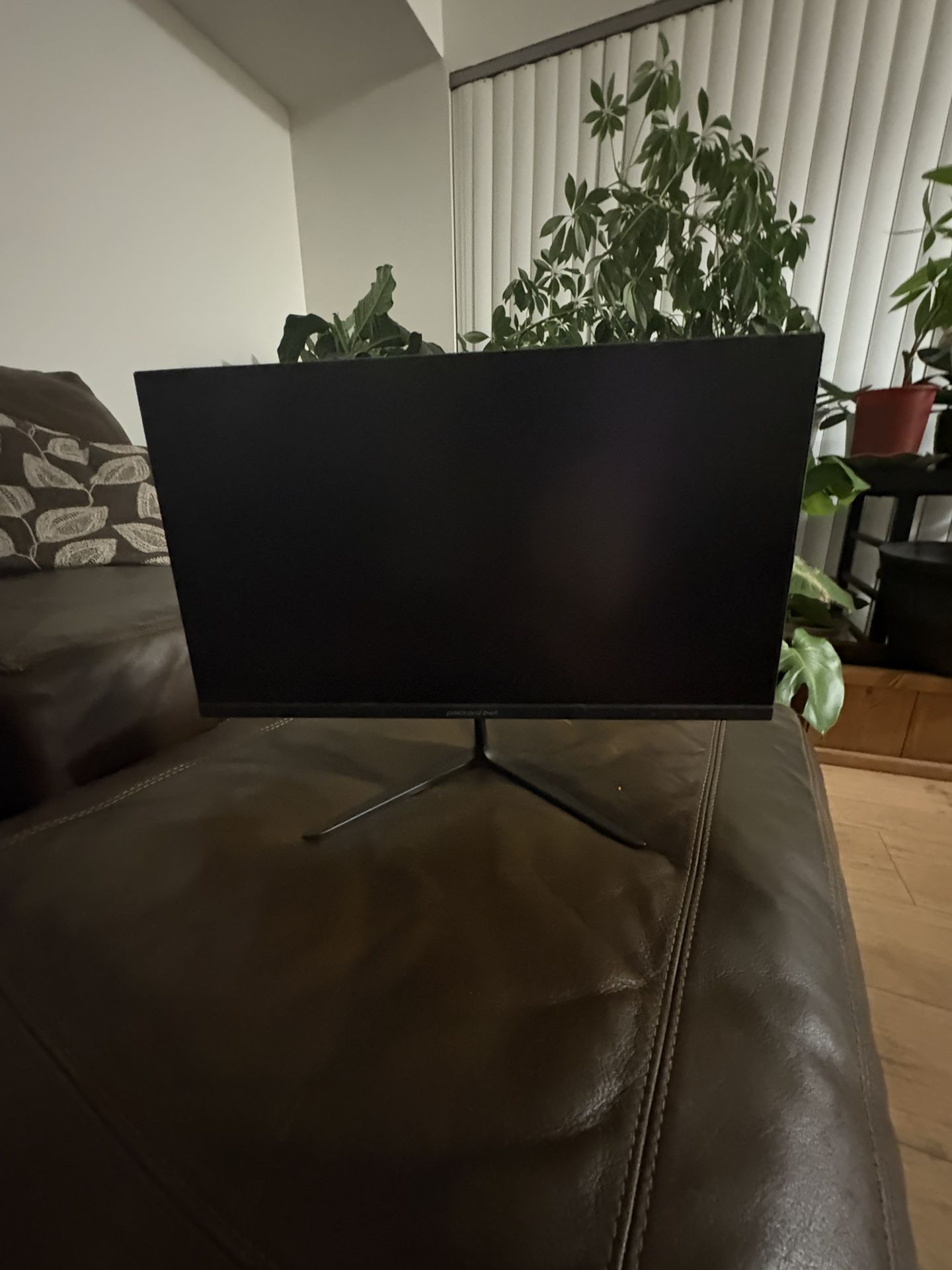 Brand New Monitor