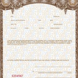 Trailer Title MCO service