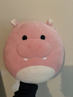 Hippo squishmallow