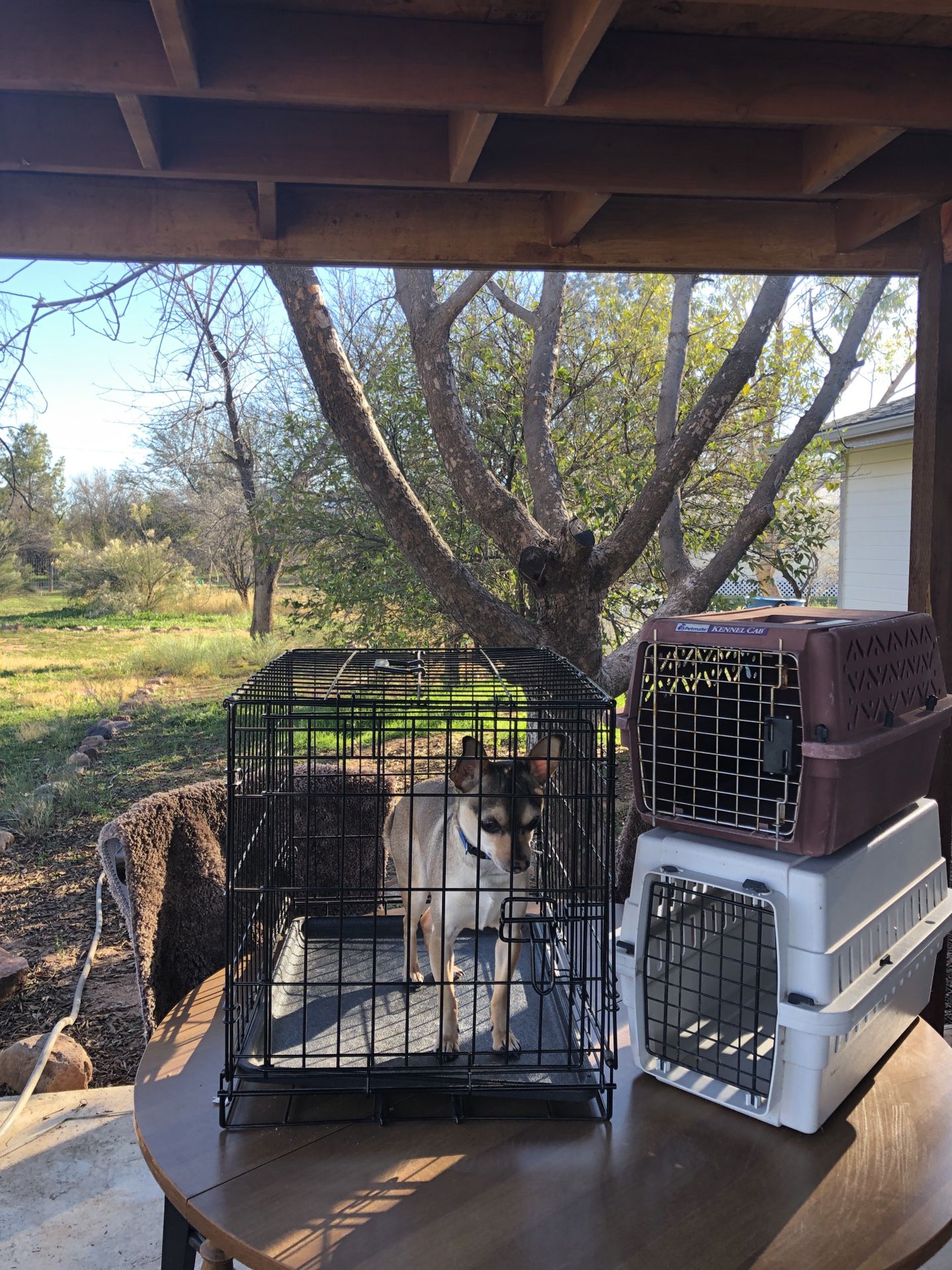 Small kennel and carriers