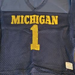Champion Michigan Wolverines Jersey