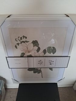 Framed Wall Art Set - Flowers