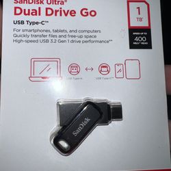 Sandisk 1 Terabyte Flash Drive
