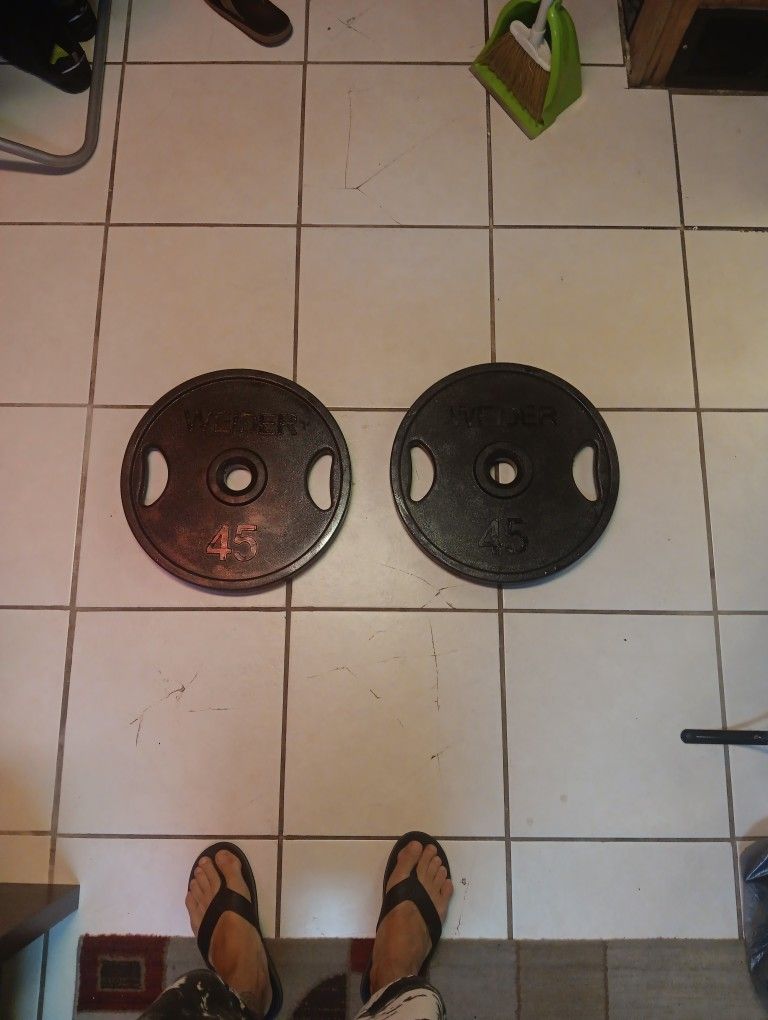 45lb Bumper Plates