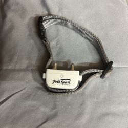 Pet Training Collar