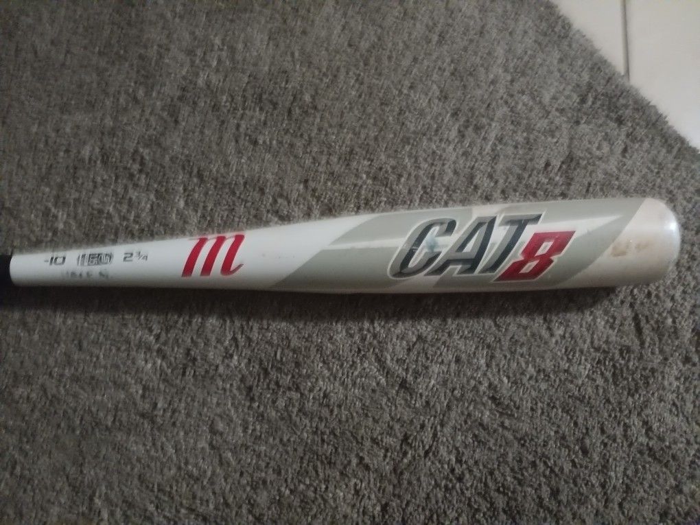 Cat 8