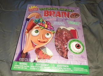 Educational Toys: Scientific Explorer Anatomy Brain: 