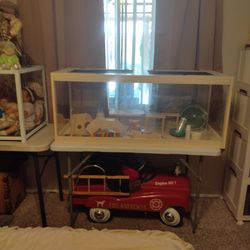 Hamster cage for sale everything in the cage