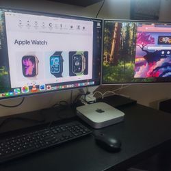 Apple Mac Mini System Complete - $280