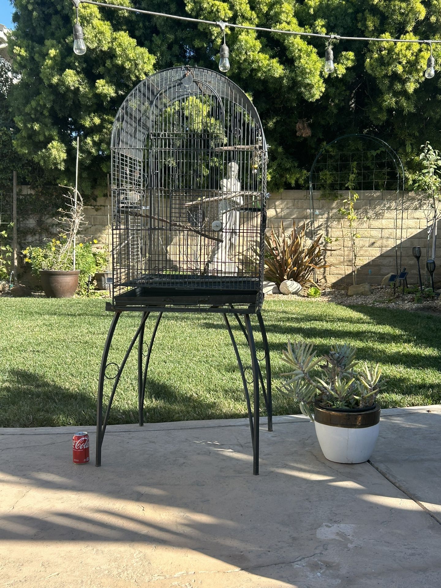 Bird Cage 63” Tall