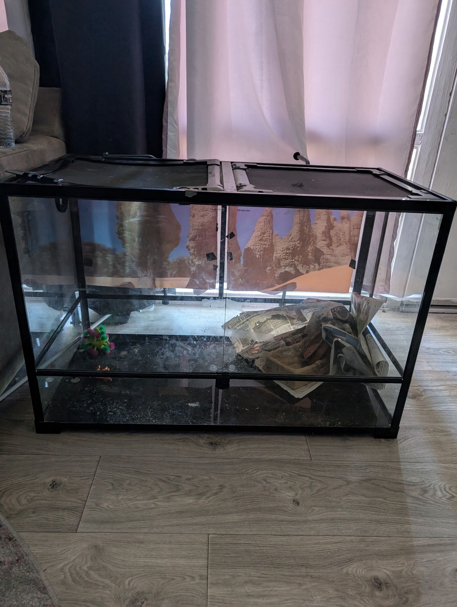 Reptile Aquarium