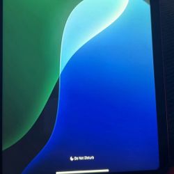 Pink iPad 10th Gen Cellular + WiFi