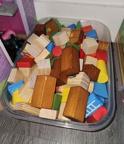 Assorted Wooden Toy Building Blocks with Storage Container