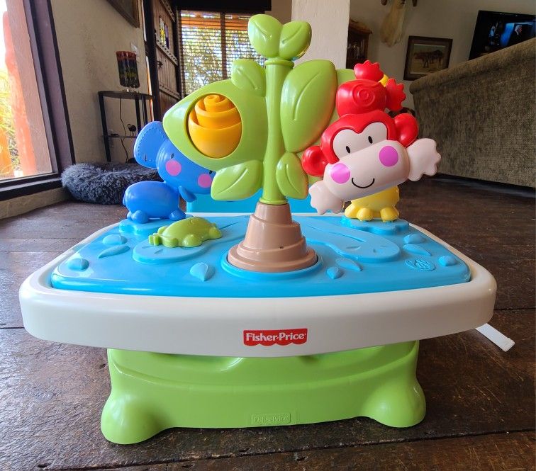 Fisher Price Booster Seat