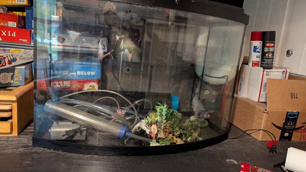 Fish Tank With Free Accessories 