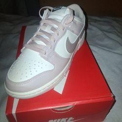 Brand New Nike Low Dunks 