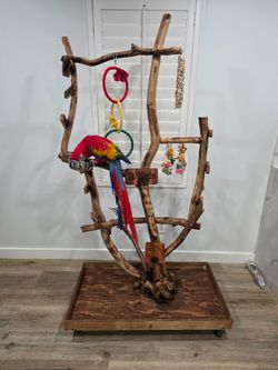 Parrot perch