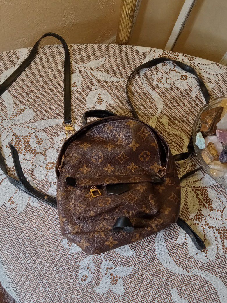 Louis Vuitton Monogram Palm Springs Brown Mini Backpack For Sale