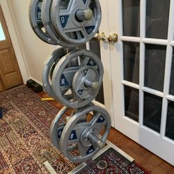 265 Lbs Olympic Weights Plates 