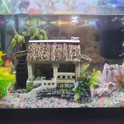 Aquarium 