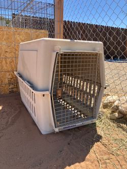 Kennel