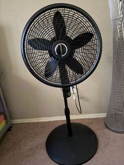 Lasko Black Pedestal Standing Fan