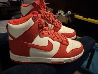Nike Dunk High Top Next Nature