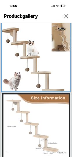 Wall cat