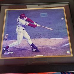 TIM SALMON AUTOGRAPHED PICTURE FRAMED