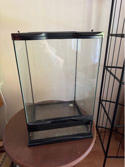 Glass terrarium / vivarium
